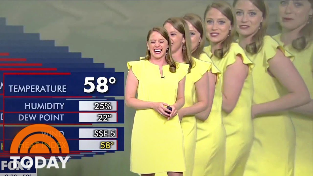 TV Meteorologist Gets Duplicated In Hilarious Green Screen Mishap