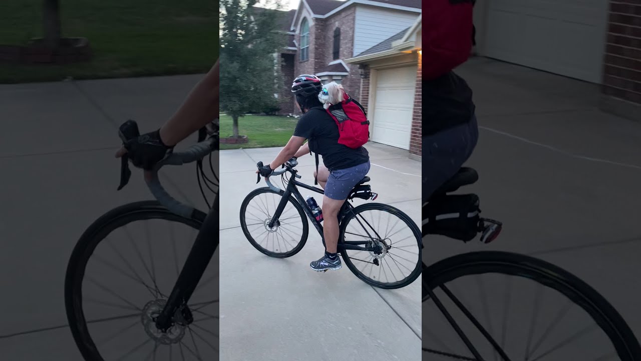 BIKE RIDE WITH DOG ON MY BACK #SHORTS