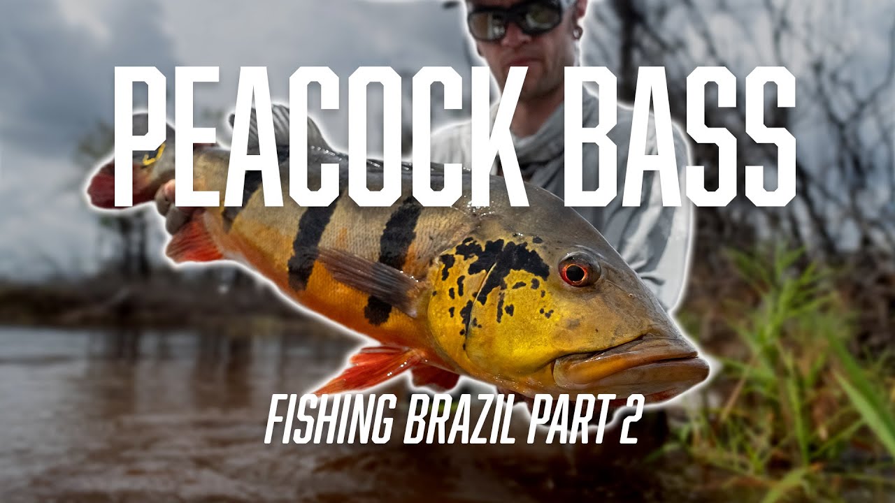 Brazil Fishing Adventure - Part 2