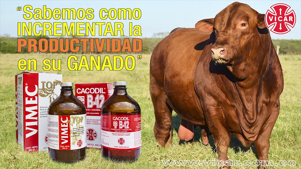 Conoce más de nosotros.