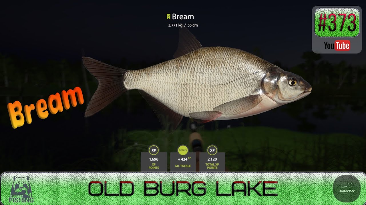 Russian Fishing 4 - Old Burg Lake - Bream Spot - #373