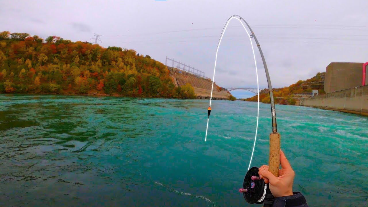 Combat Fishing for STEELHEAD at the NIAGARA RIVER