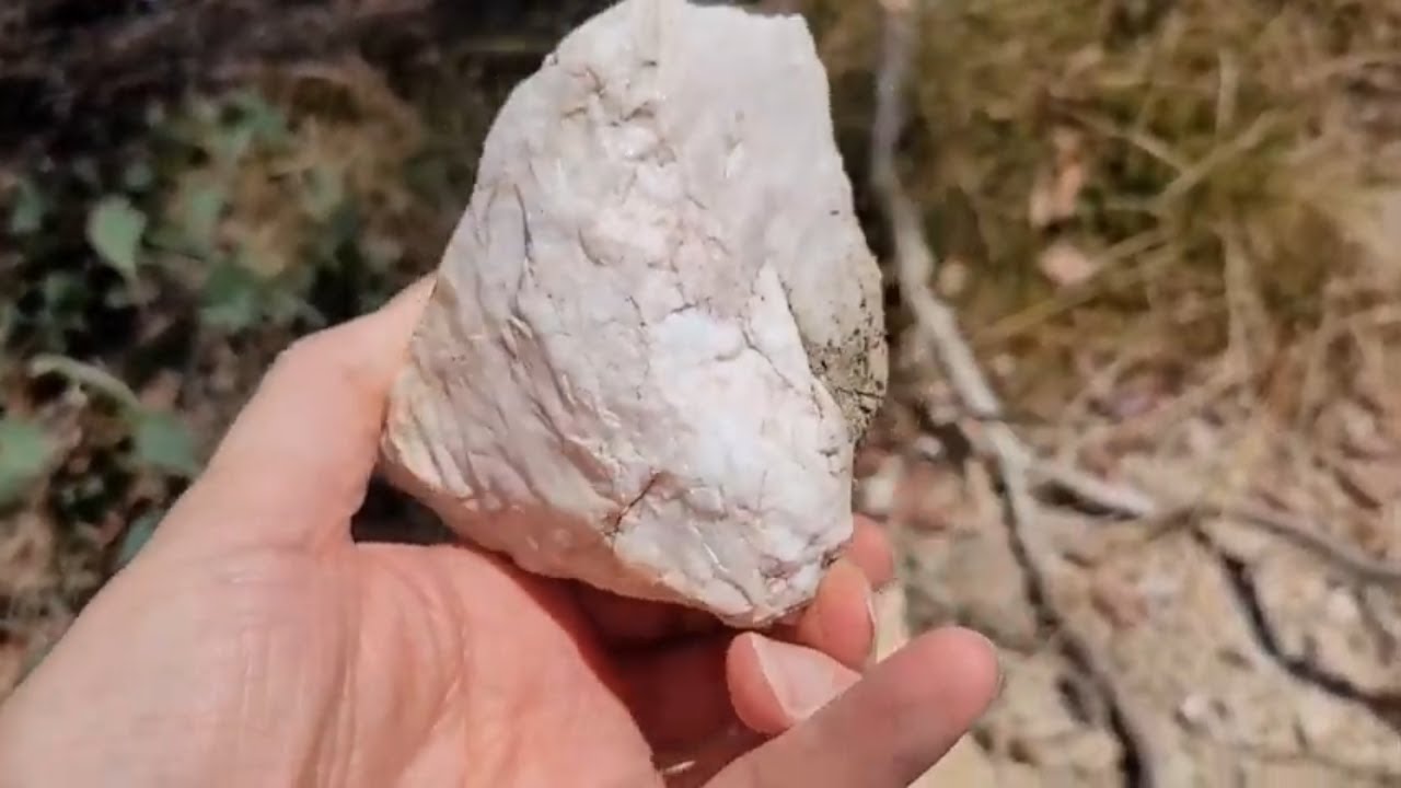 Geology Walk 15: Castlemaine Group Turbitide Deposits