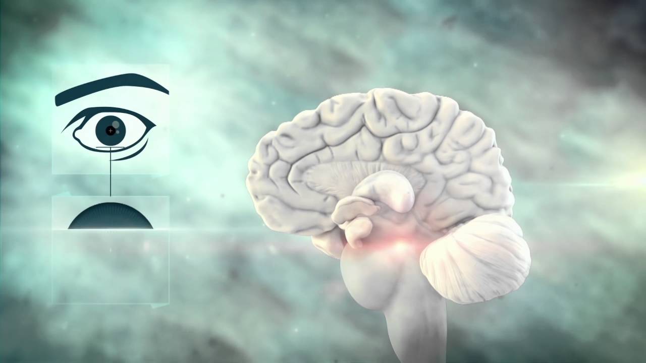 El Cerebro y Yo | Cap 6 | Esfuerzo Mental