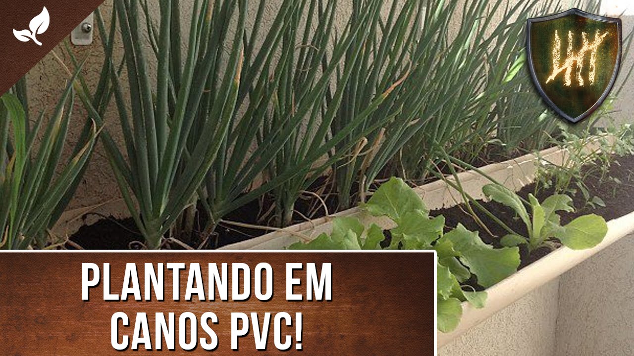 Como fazer uma horta suspensa?