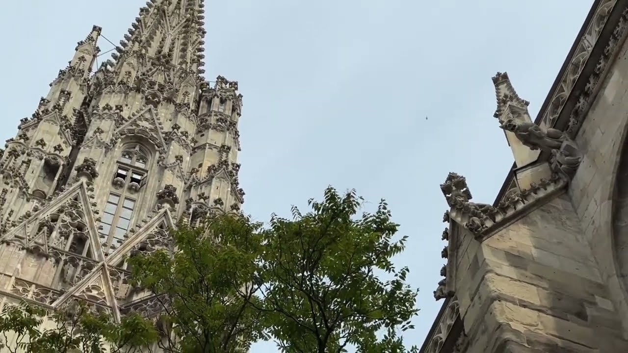 St Stephen's Cathedral - G&ouml;tterbaum