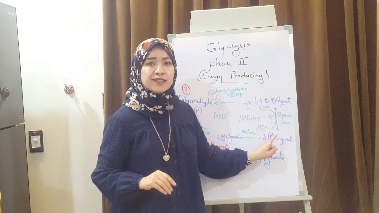 (CHO METABOLISM Biochemisrty Session 4)Glycolysis part2