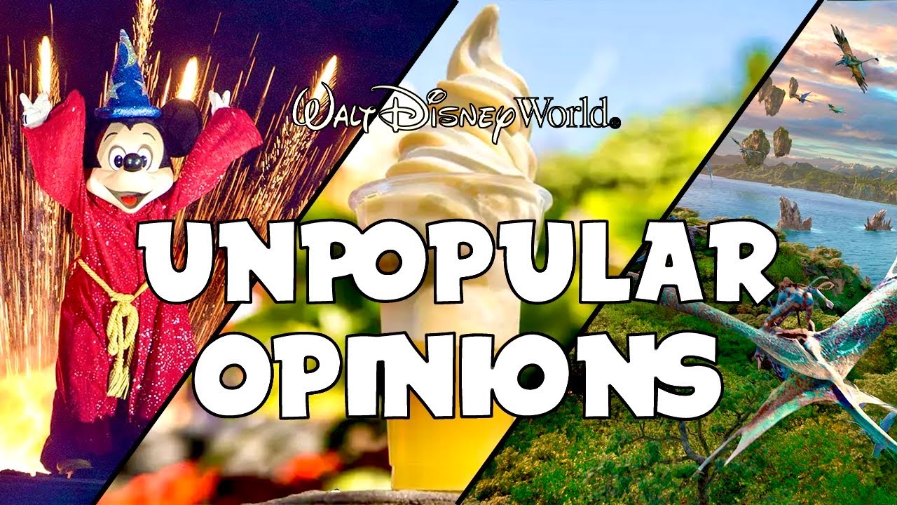 UNPOPULAR OPINIONS &agrave; WALT DISNEY WORLD !!!!