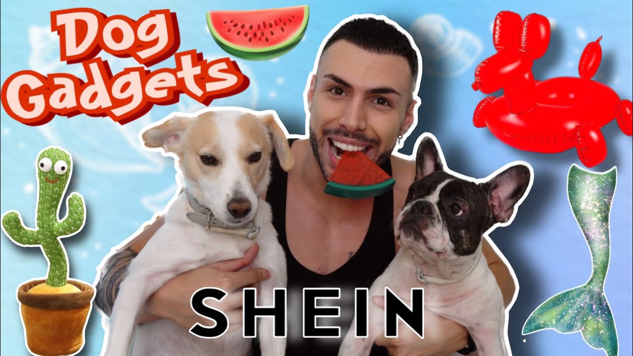 ΚΑΛΟΚΑΙΡΙΝΑ SHEIN GADGETS ΓΙΑ ΣΚΥΛΟΥΣ | Tsede The Real