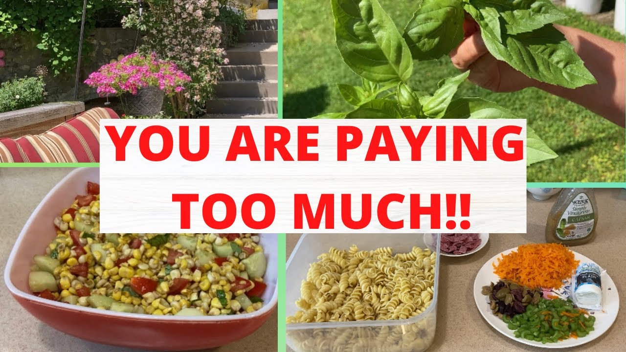 You Are Paying Too Much For These! Frugal Living! Summer Recipes!
