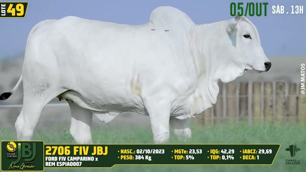LOTE 49   JBJ 2706