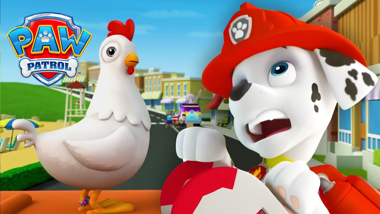 A busca pela Chickaletta! 🐔 - Patrulha Canina PAW Patrol
