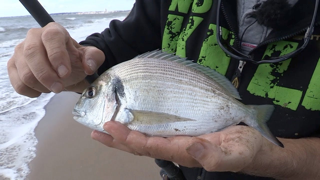 Surf Casting a Nettuno