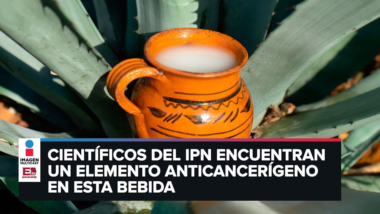 Pulque posee bacteria contra el c&aacute;ncer de colon