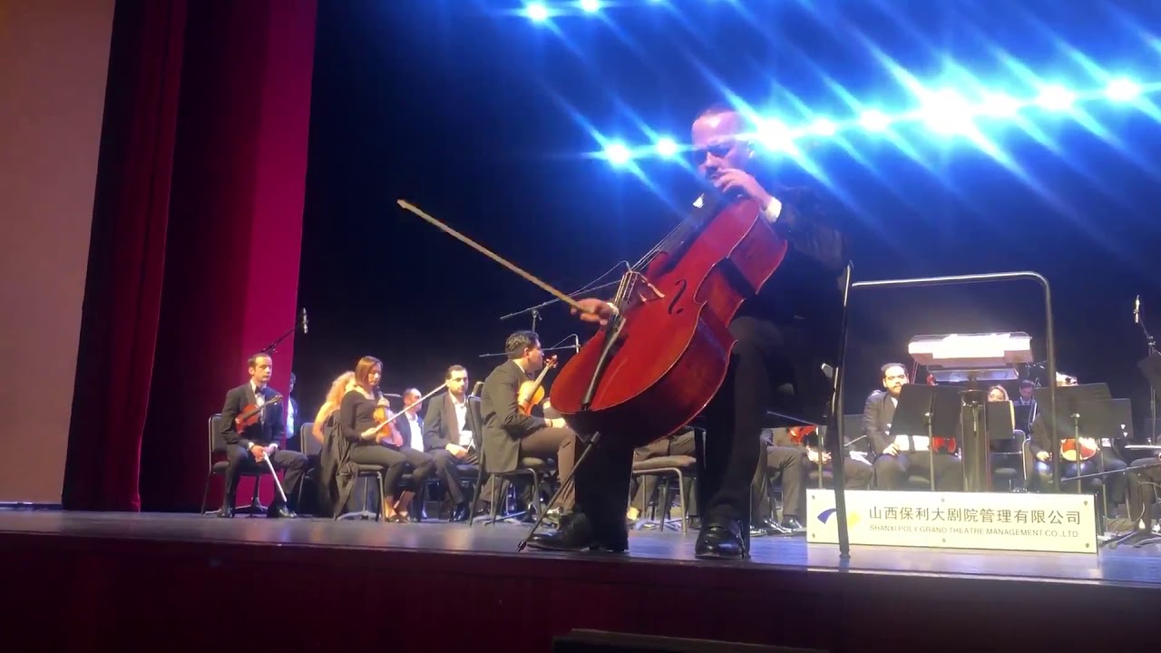 Horvath Karoly  cello