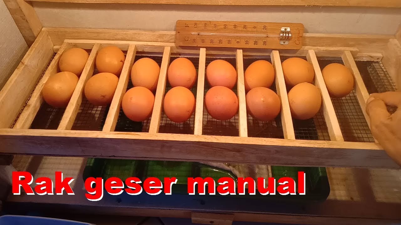 Manual Egg Incubator Shelf Racking System