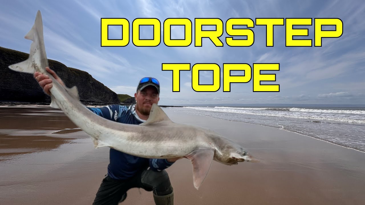 Targeting SHARKS from a local beach - UK Sea Fishing