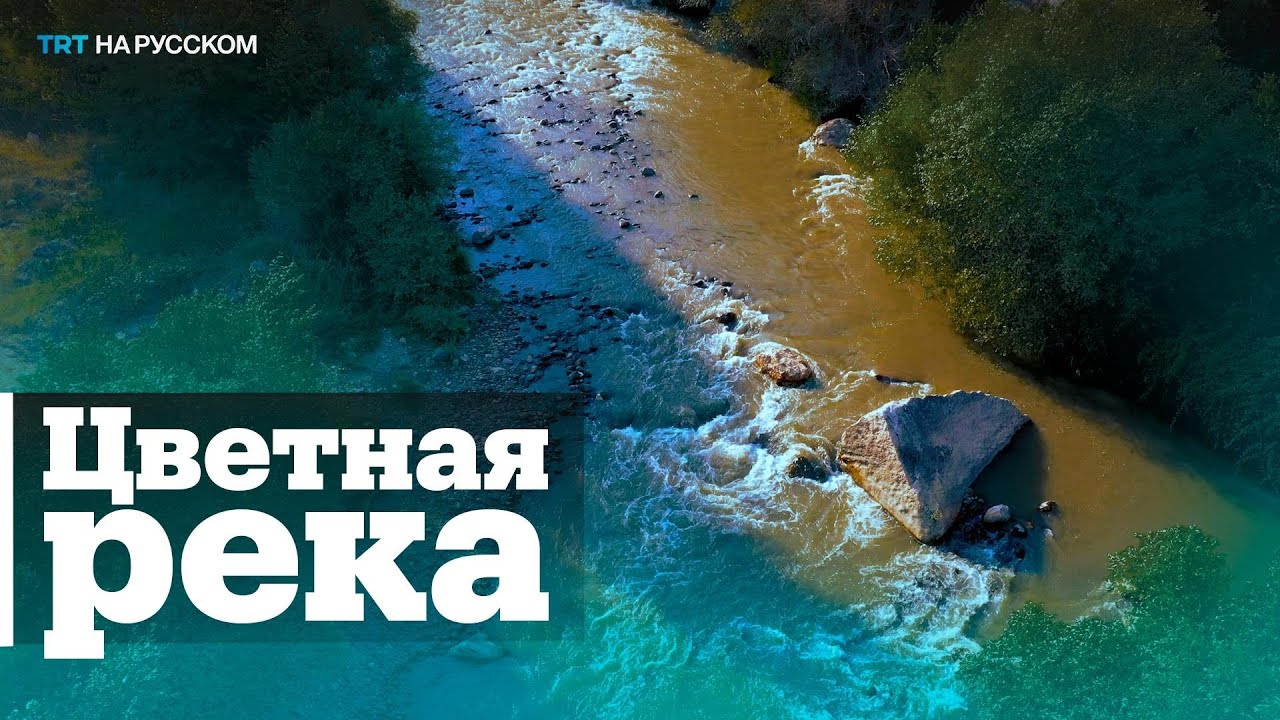 Армянские заводы загрязняют азербайджанскую реку