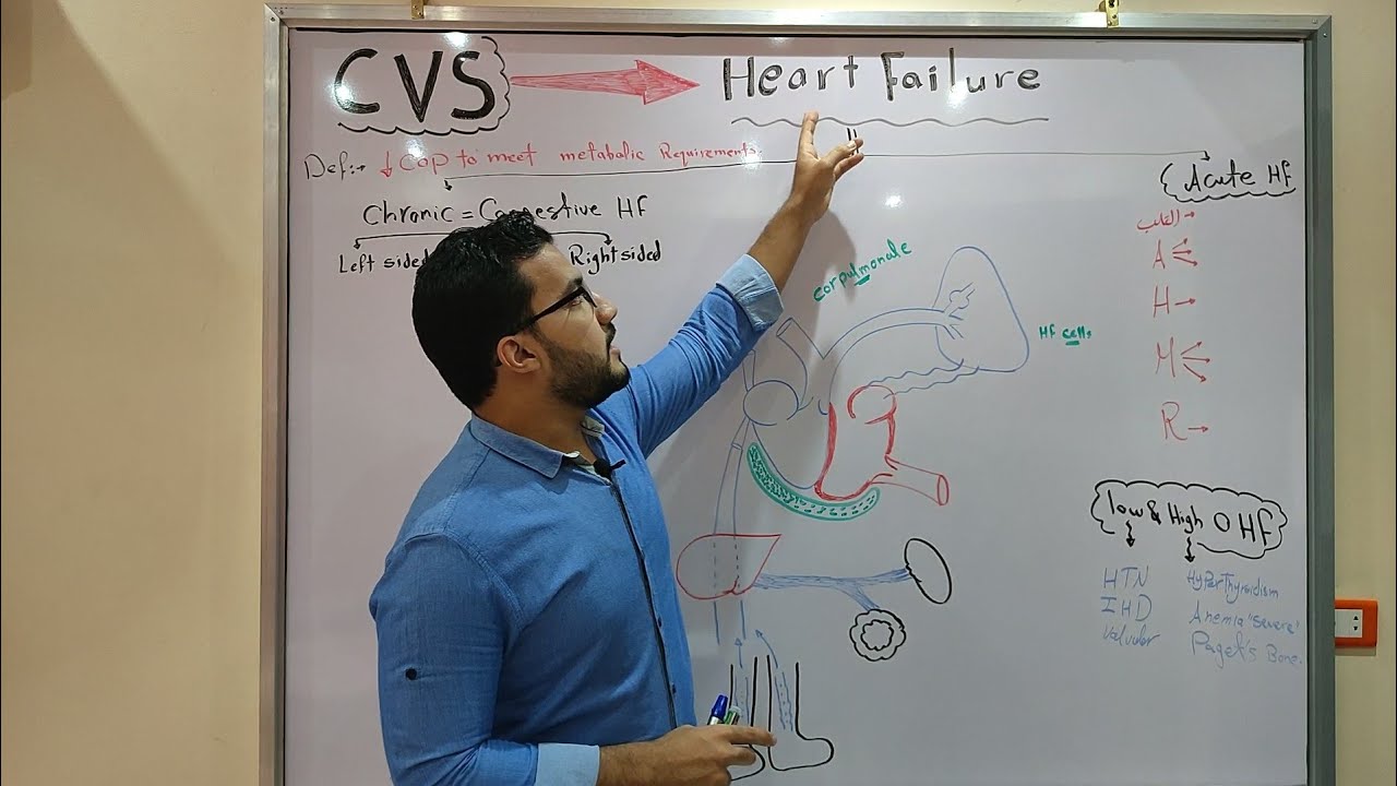 CVS Module - Heart Failure 💔