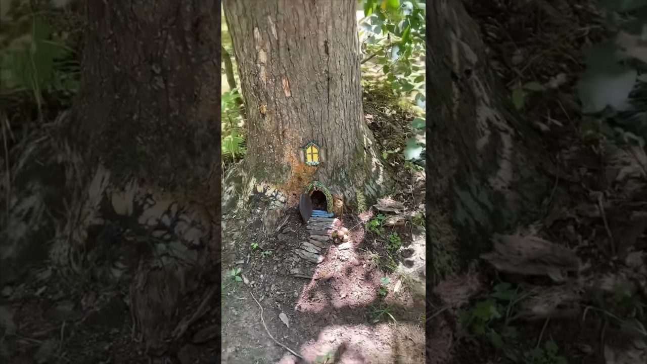 Fairy house 🧚🏻&zwj;♀️🧚