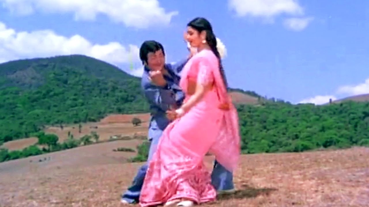 NTR, Sridevi, Krishna, Radhika Evergreen Superhit Video Song | Vayyari Bhamalu Vagalamari Bhartalu