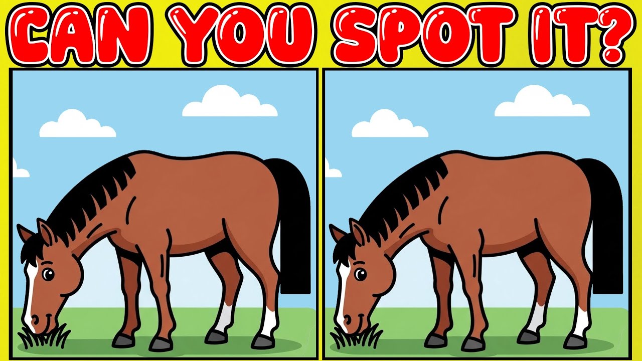 Genius Level Spot the Difference: Only 1% Can Solve! (10-Minute Brain Workout)