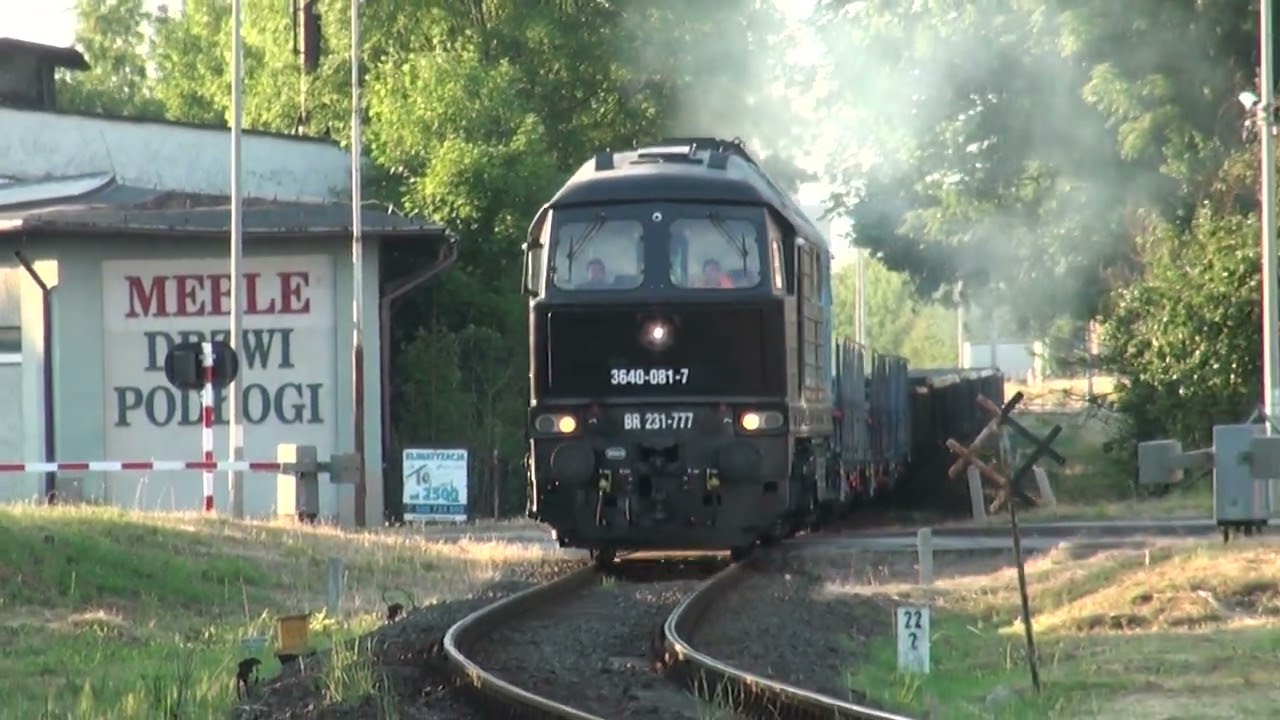 BR 231-777 Rosiński Logistics z rozładowanymi wagonami z Prostyni