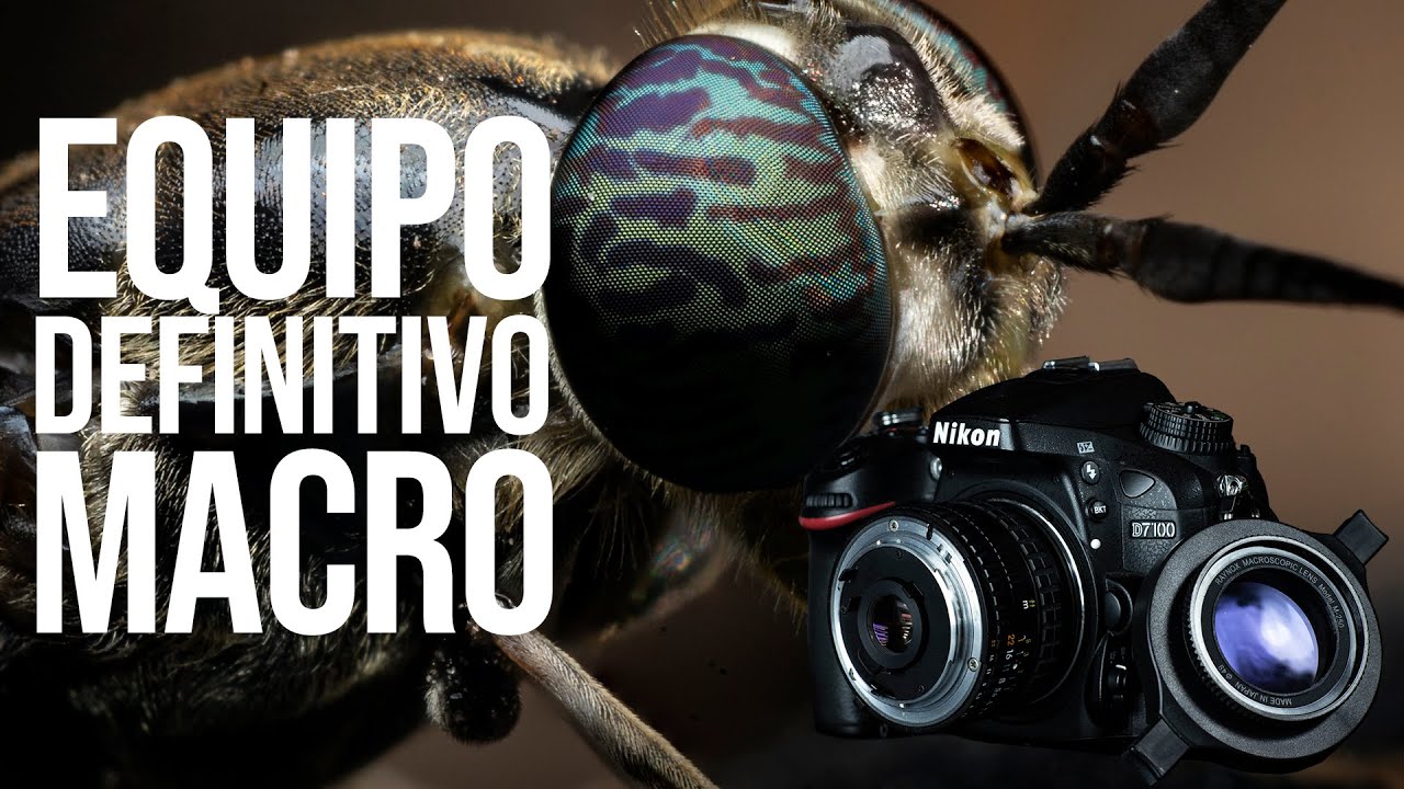 EQUIPO MACRO DEFINITIVO, macrofotografía low cost. El equipo para empezar y seguir toda la vida.