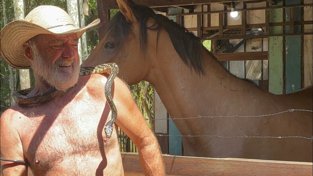 ELE MORA SOZINHO COM OS ANIMAIS E UMA CANINANA - OSNI DE SANTA CATARINA