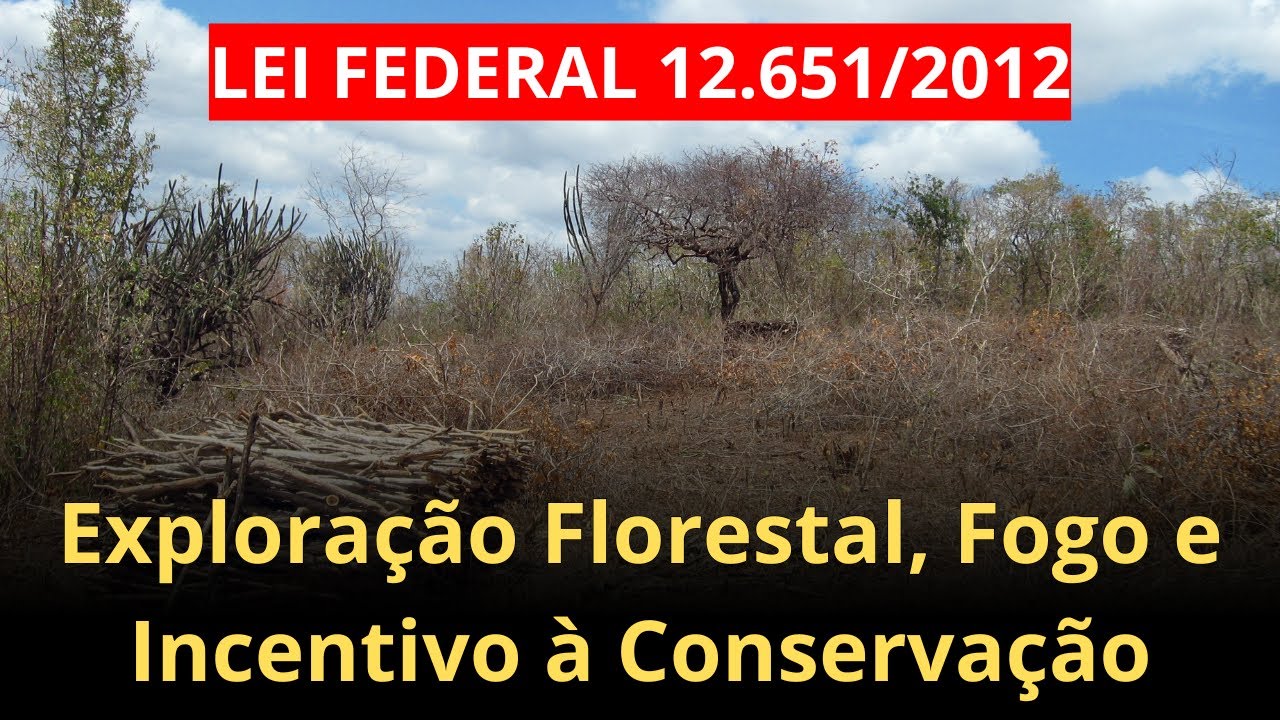 Lei 12.651: Exploração Florestal, Uso do Fogo e Incentivo à Conservação