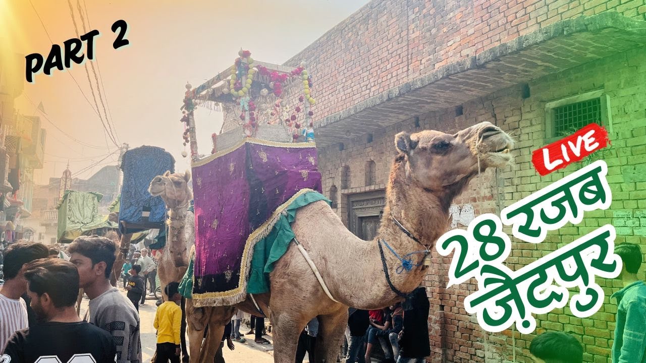 🔴Live 28 Rajab Zaidpur 2025 | Safar Imam Husain a.s |  Safar-E-Karbala | Part 2 Live