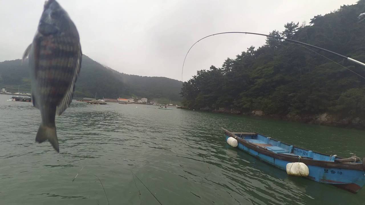 고성 좌대 출조
