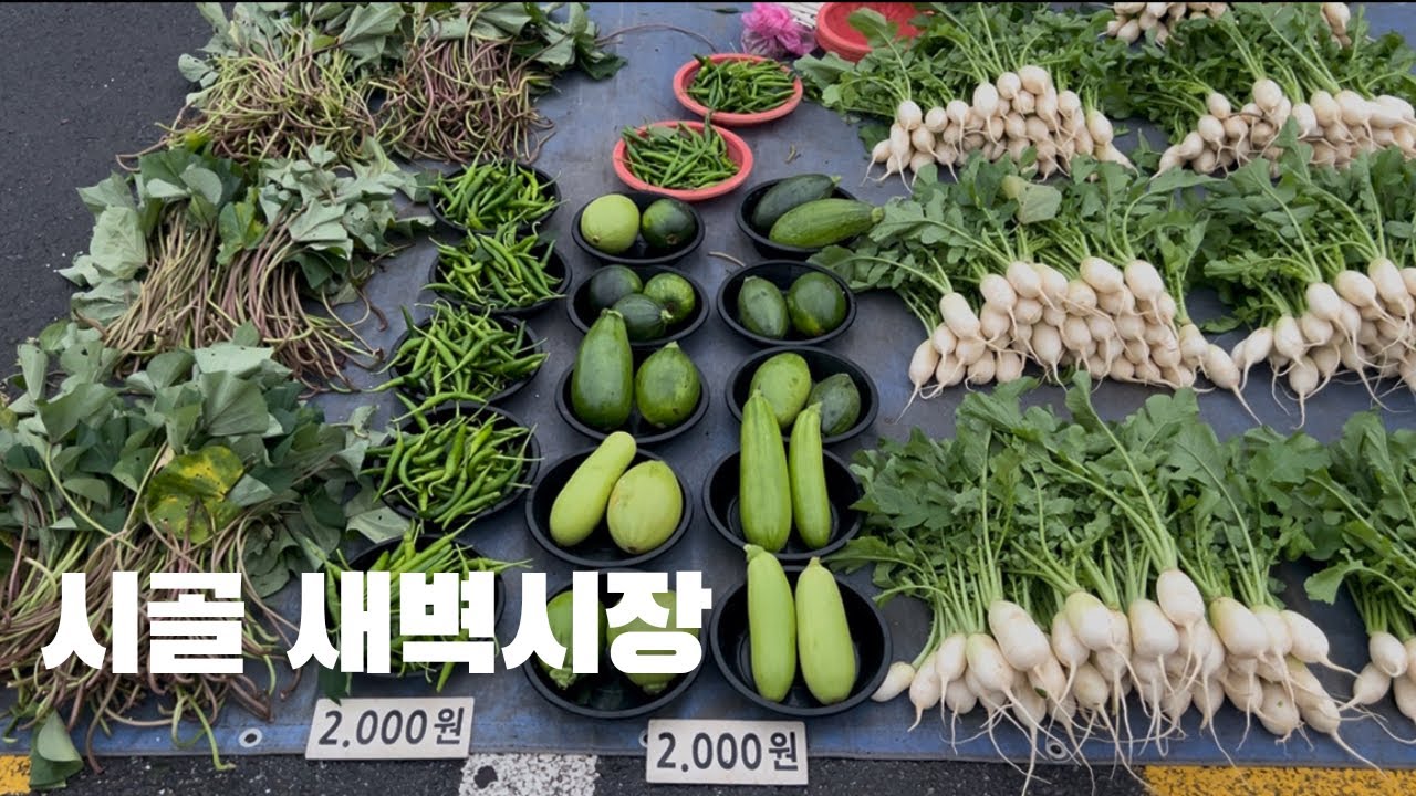 정겨운 시골 새벽시장 풍경 | 농업인 직거래장터 