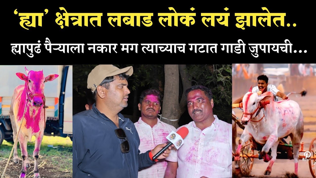 नवीन बैलगाडी मालक आणि बैलगाडा शर्यत | malshiras cha sai mulakhat 2026