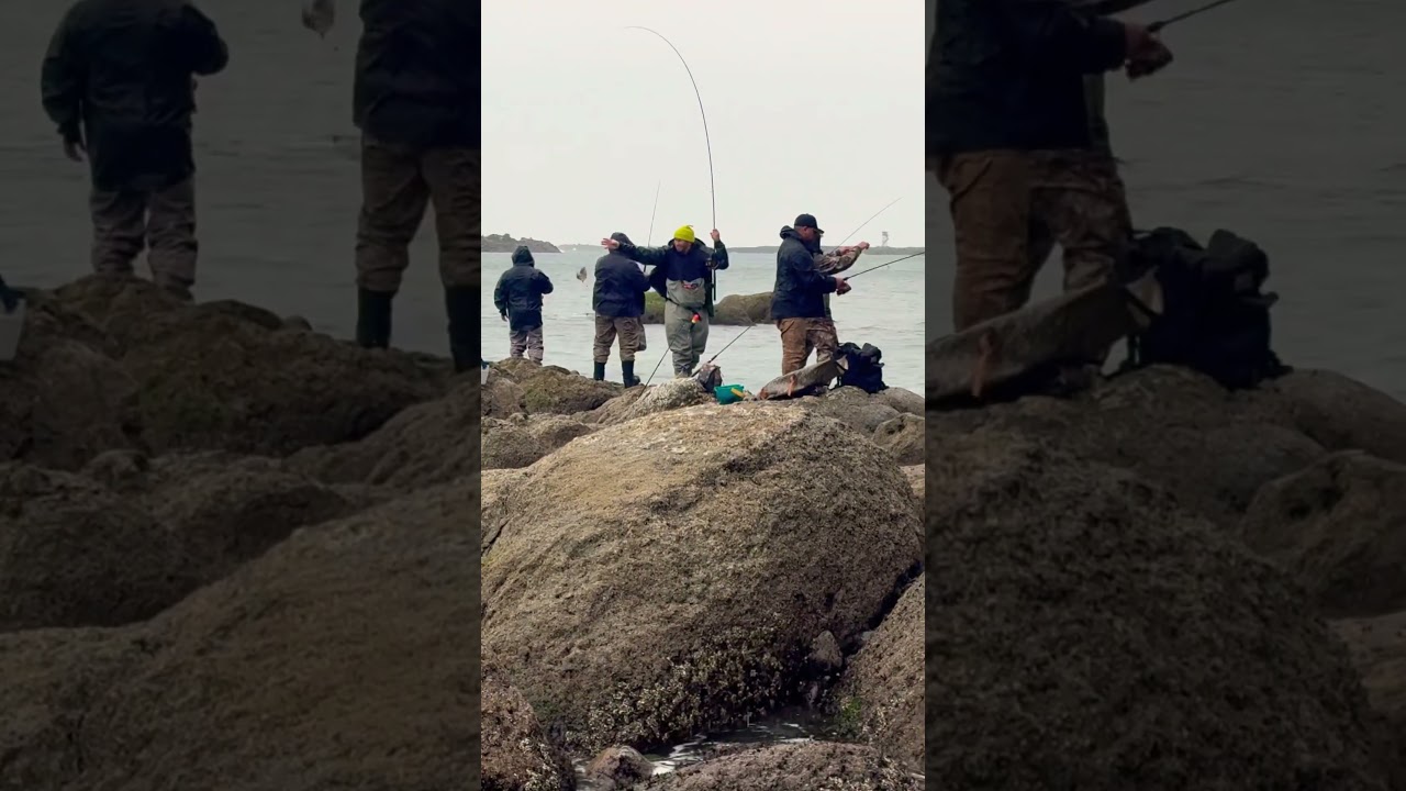 Stormy day fishing for some surfperch @ Garibaldi, OR. 🎣🌊 #fishing #oregoncoast #surfperch