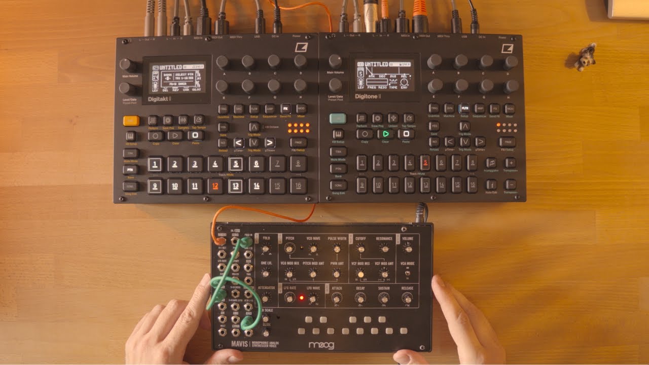 Moog Mavis | Digitakt II | Digitone II - Dub Ambient