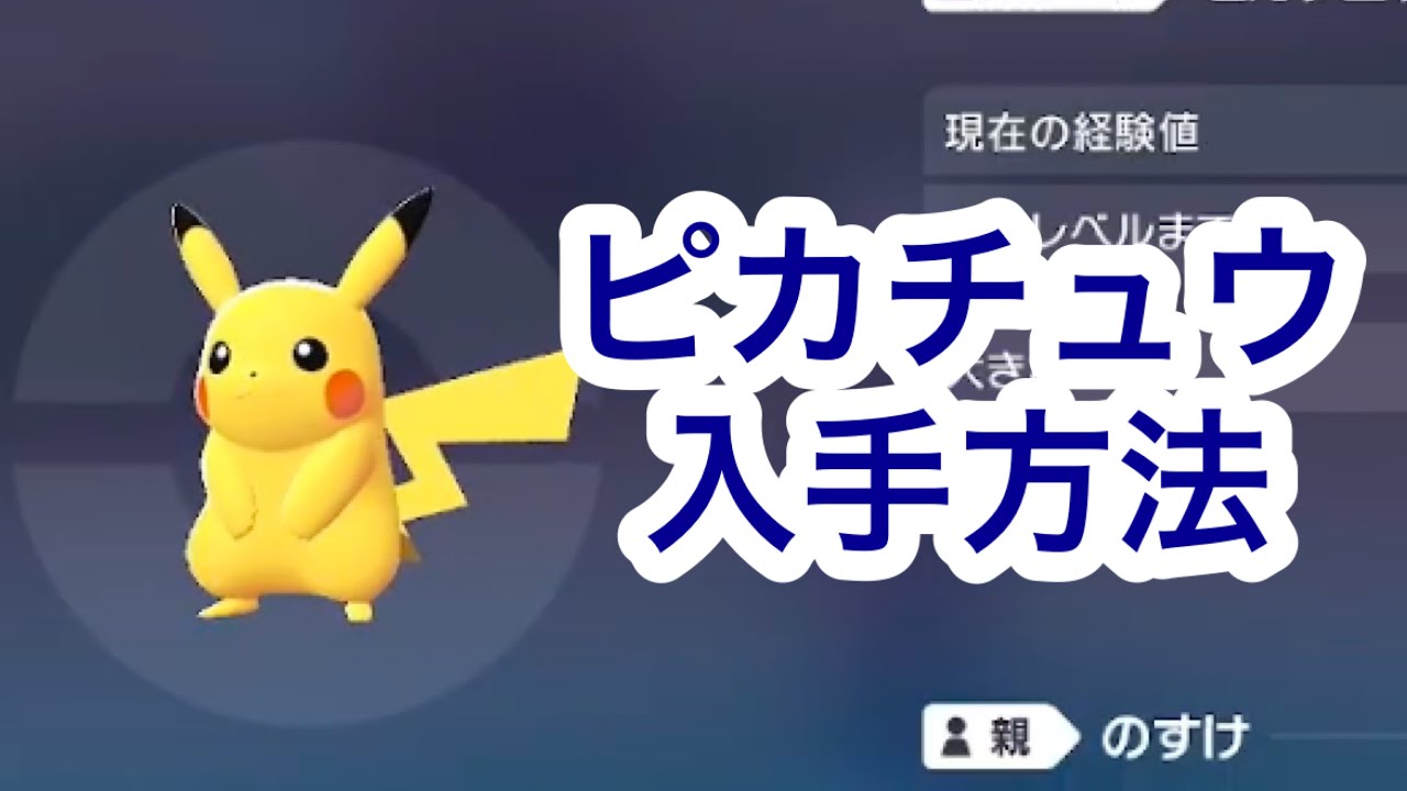 【ポケモンZA】ピカチュウ入手方法