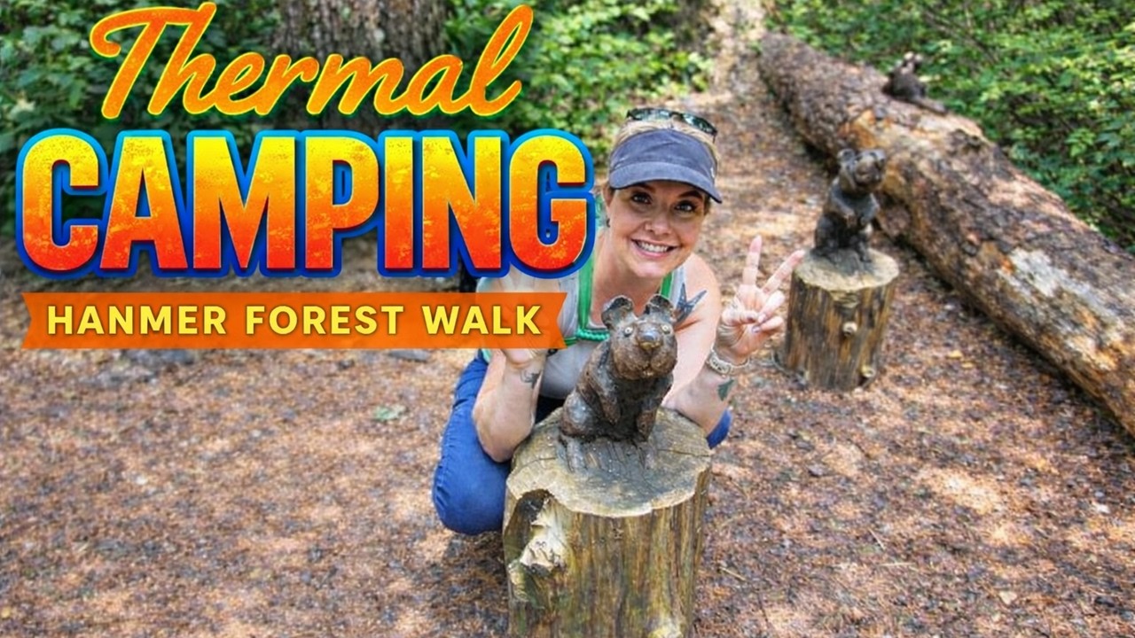 This Forest Walk Surprised Us — Totally Worth It!