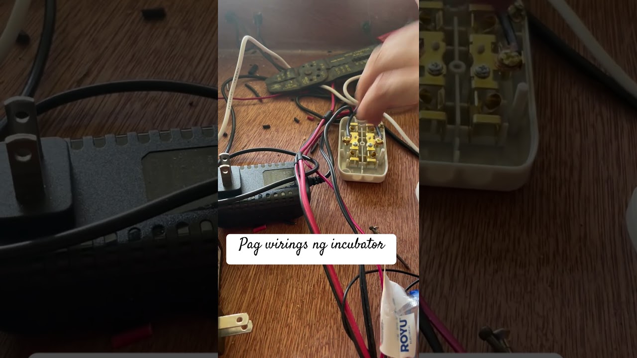 #incubator  #wiring