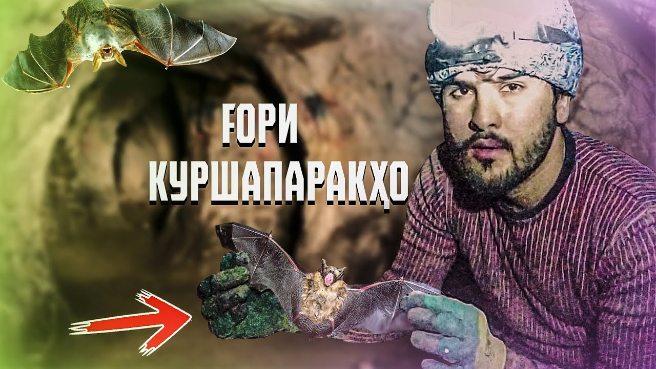 FOРИ ДАХШАТНОК / САХТТАРИН ДАХШАТ! (Ajam STAN)