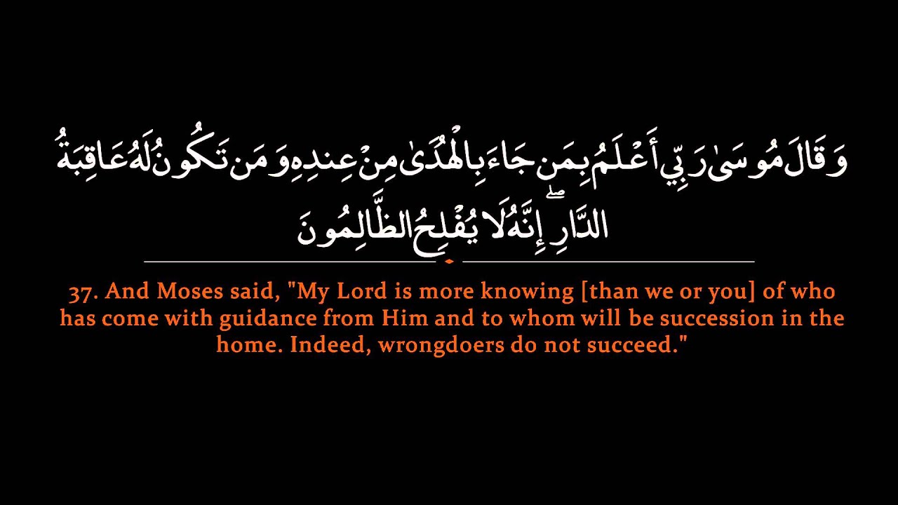 Surah Qasas | Nasser al Qatami سورة القصص |  ناصر القطامي