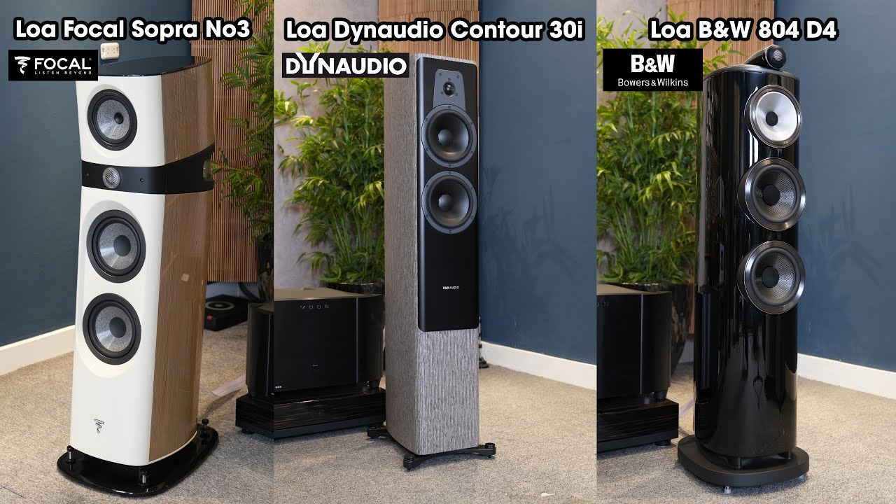 Bộ 3 Loa Phân Khúc 10K USD Được Yêu Thích - Loa Focal Sopra No3 + Dynaudio Contour 30i + B&W 804 D4