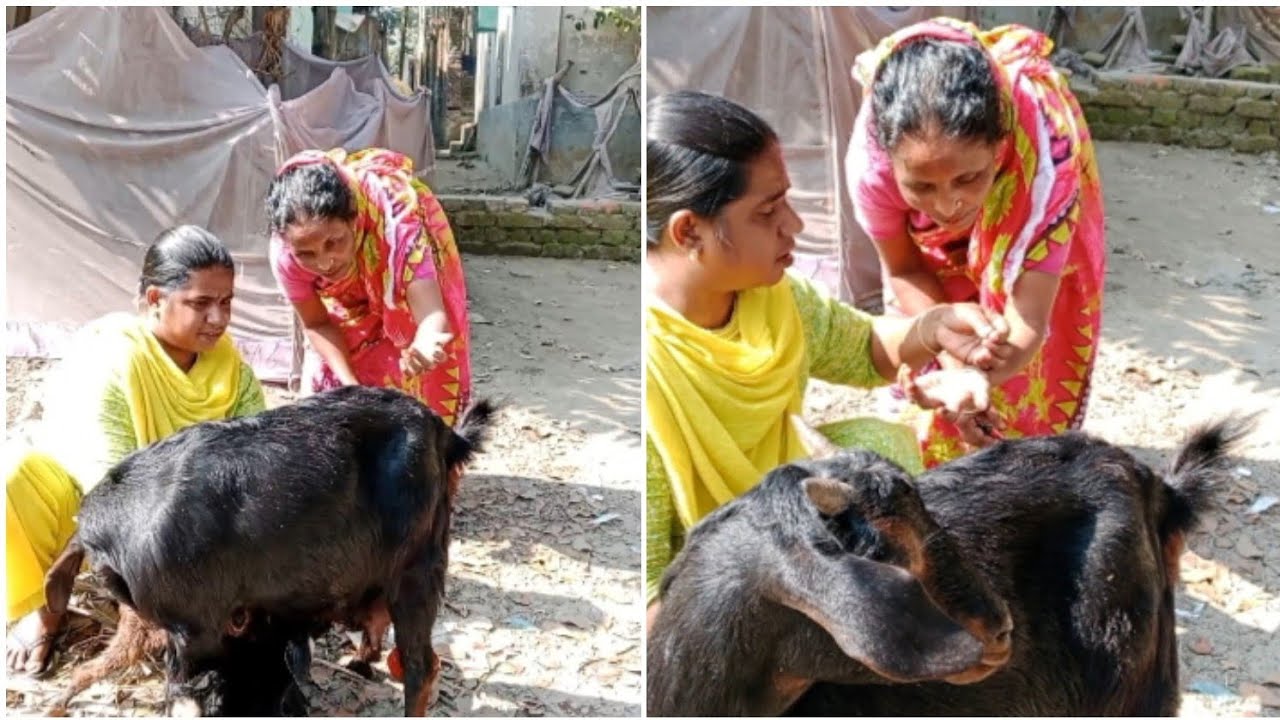  আজ আমাদের কনা ভাবি একসাথে তিনটে নাতির মুখ দেখতে পেল 