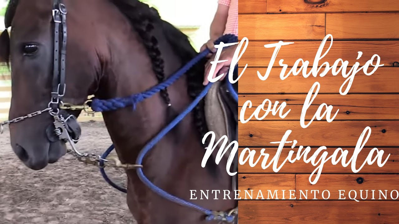 EL TRABAJO CON LA MARTINGALA (GRUA)
