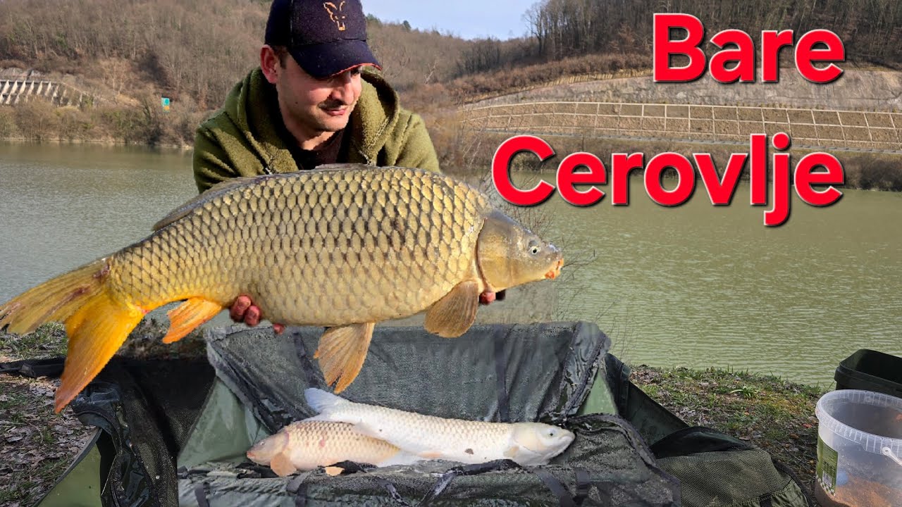 BARE CEROVLJE! LUDILO OD PECANJA-- 24 RIBE U 10H 