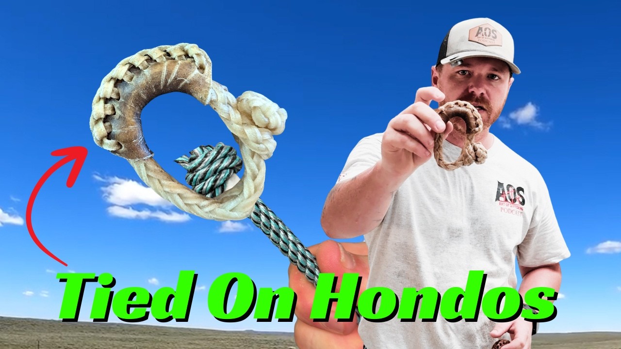 What's the Best Tied On Honda?