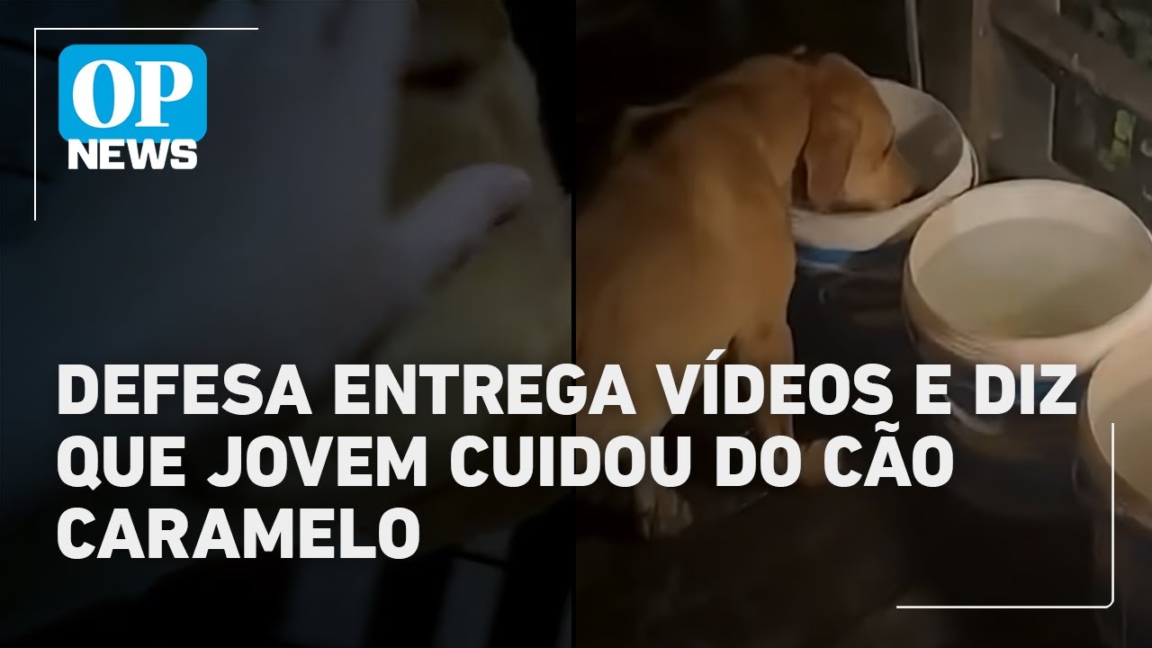 Caso Orelha: vídeos indicam jovens dando água para cachorro Caramelo, diz defesa | O POVO News