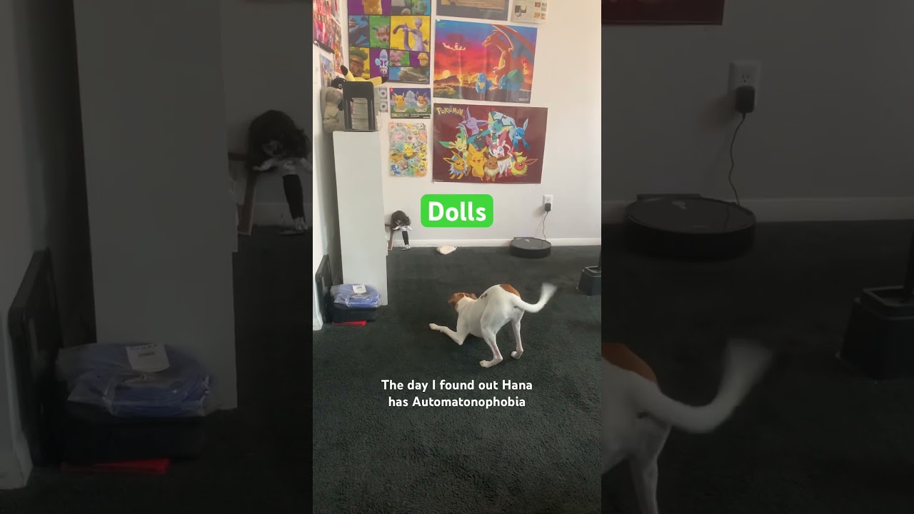 Hana has Automatonophobia / pediophobia fear of dolls 🪆FYI this video is almost 2 years old #shorts
