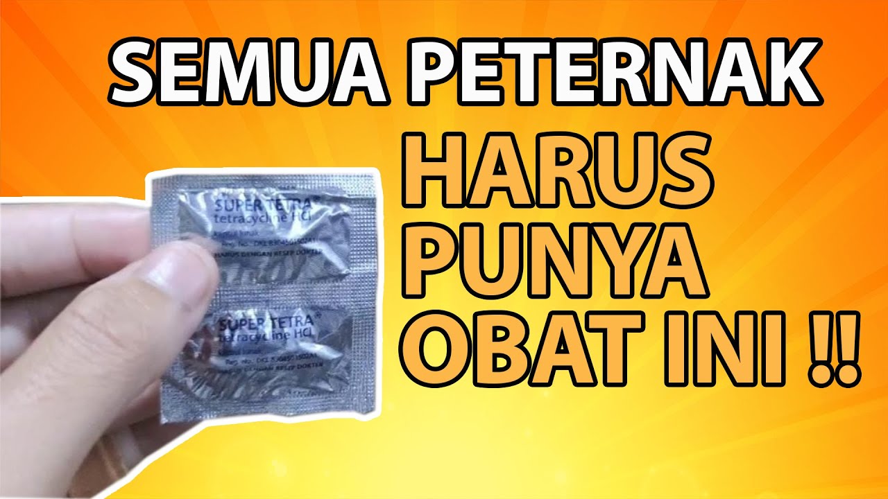 Obat Luar Untuk Banyak Penyakit Sariawan, Bengoran, Orf, Pink Eye, Kudis, Luka Terbuka Pada Ternak