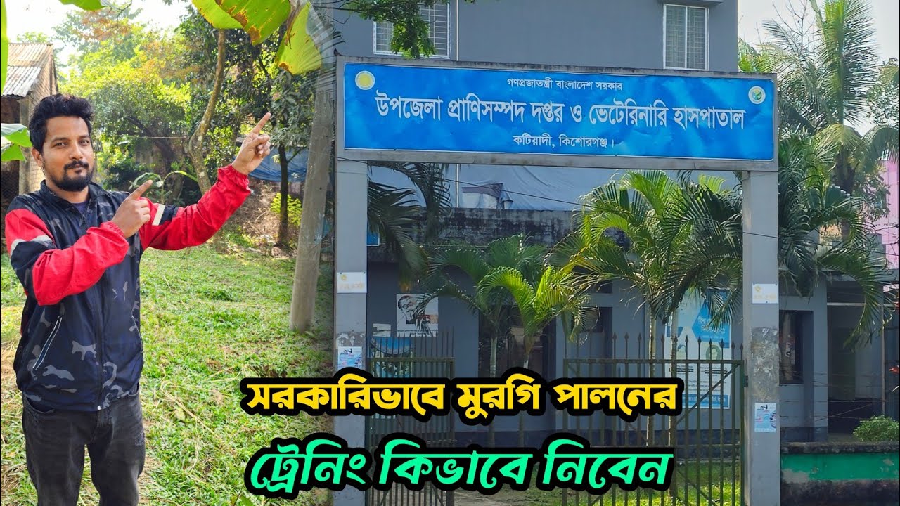 সরকারিভাবে দেশি মুরগি পালনের ট্রেনিং কিভাবে নিবেন